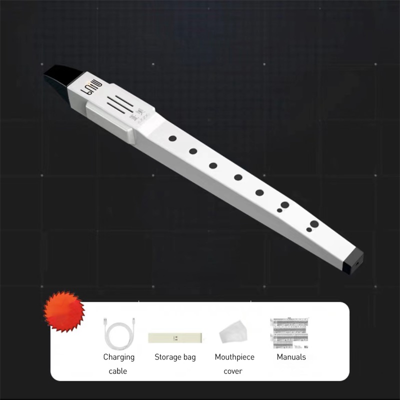 Pocket Digital Electronic Wind Instrument Mini Pocket Saxophone Wind Instrument with 10 Tones, Clarinet, Flute