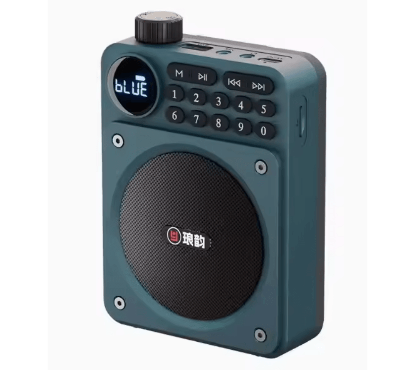 Mini Digital FM Radio Speaker with Bluetooth 5.3 USB TF Card Slot and Voice Amplifier