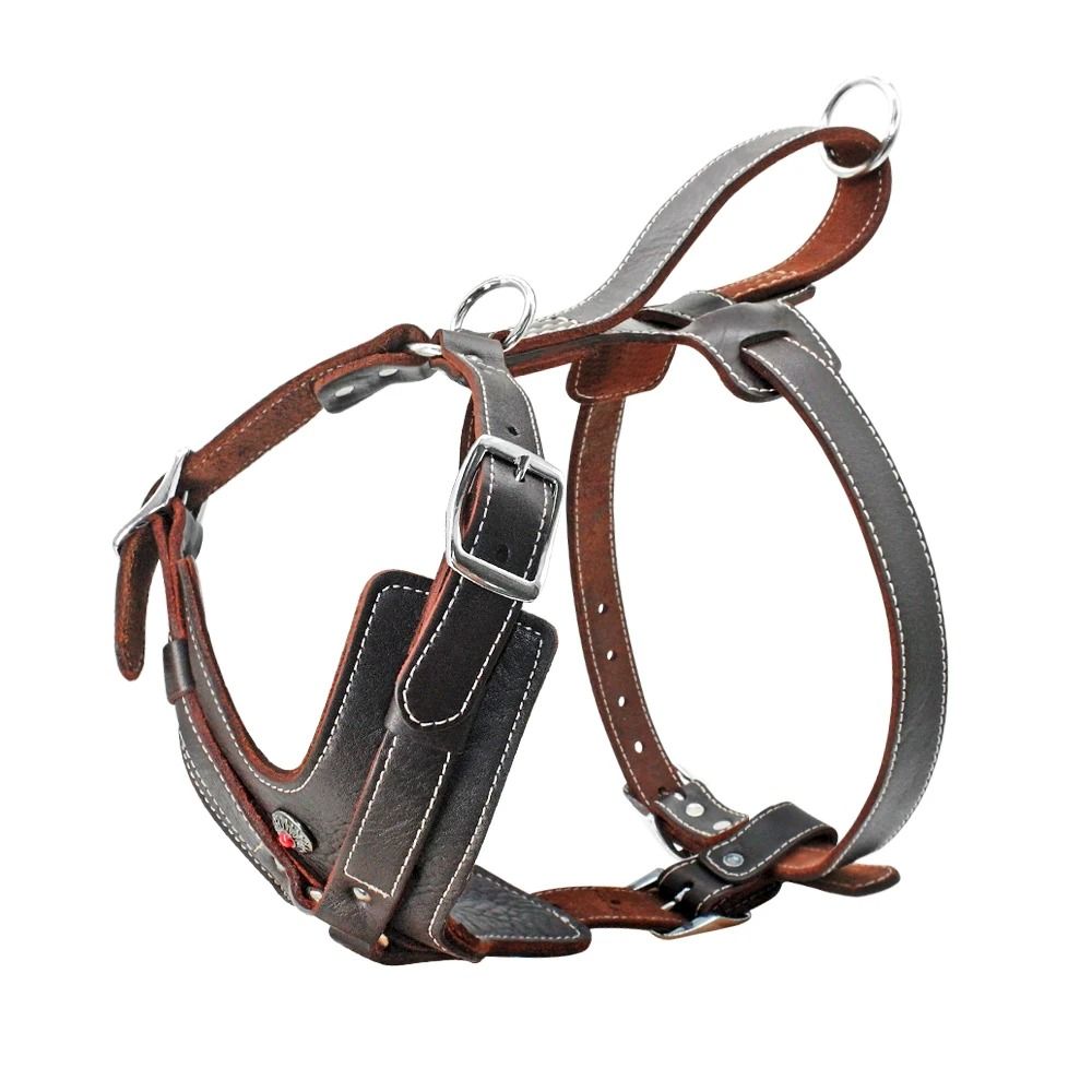 Durable Leather Dog Training Harness with Control Handle for Large Dogs