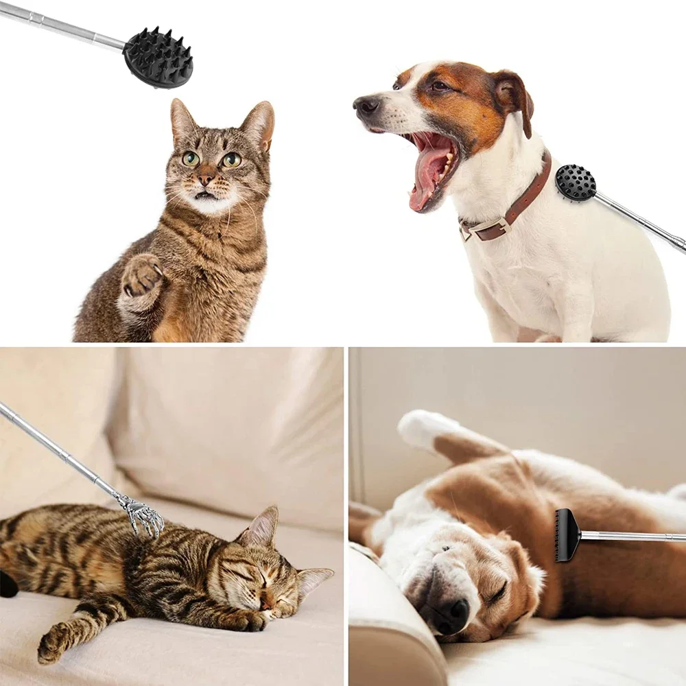 Durable PVC Extendable Cactus Back Scratcher with Spikes, Retractable One-Hand Itch Stick