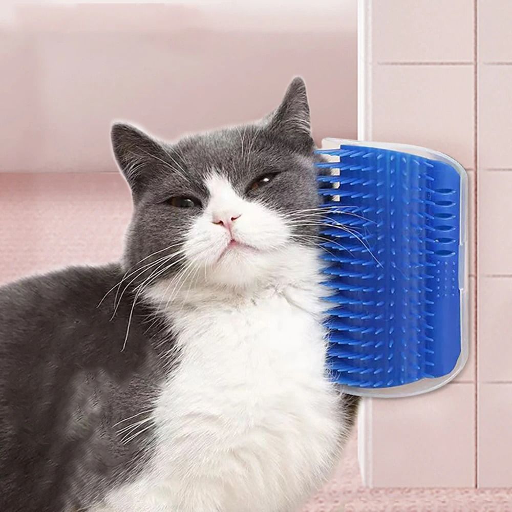 Massager for Cats PP Material Pet Brush for Grooming and Hair Removal