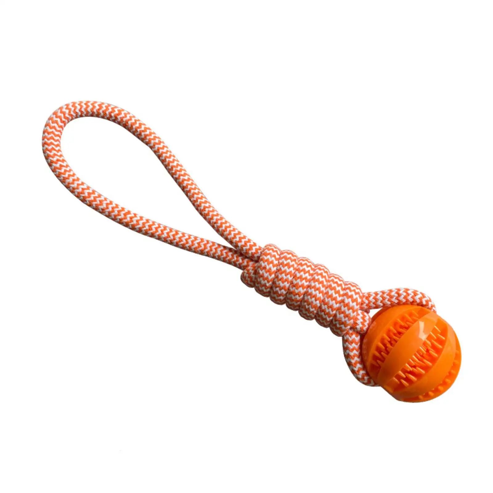 Interactive Chew And Treat Dog Toy Balls