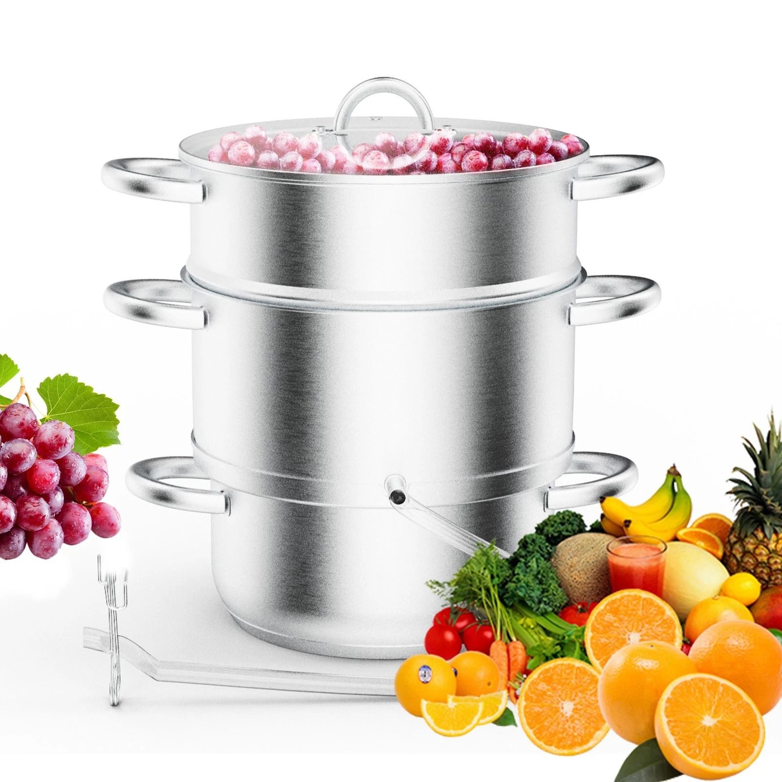 Stainless Steel Steam Juicer with Hose