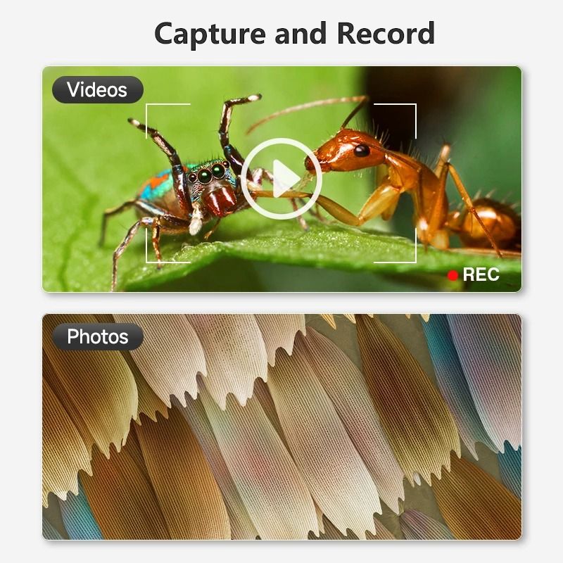 1600X USB Digital Microscope with 1080P HD Camera and Adjustable 8 LED Lights – Compatible with Android, Mac, and Window