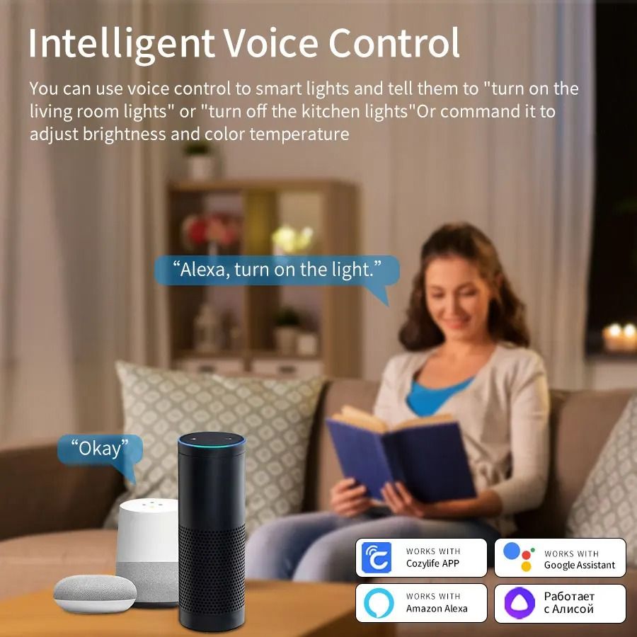 Smart WiFi LED Ceiling Light with App and Voice Control
