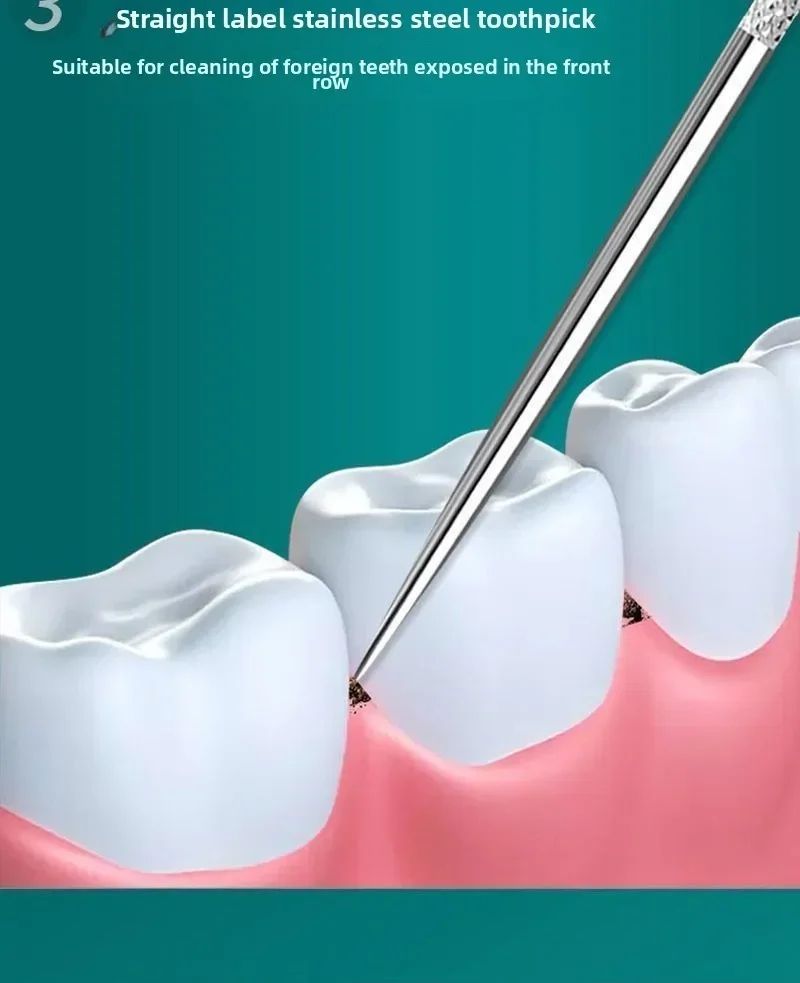 Stainless Steel Reusable Toothpick Set