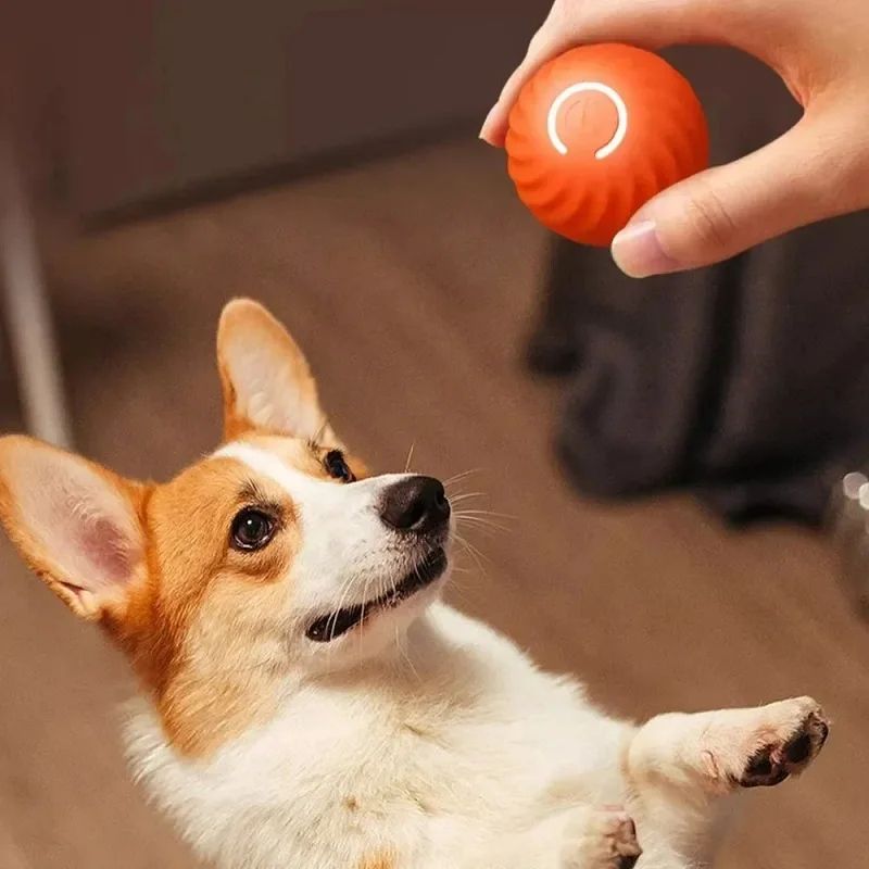 Automatic Moving Dog Ball Interactive USB Rechargeable Toy