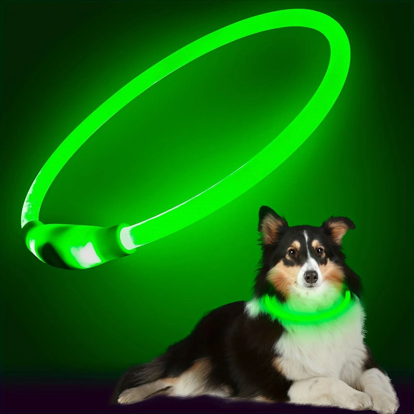 Pet Dog LED Light Collar Luminous Anti Lost USB Rechargeable Necklace
