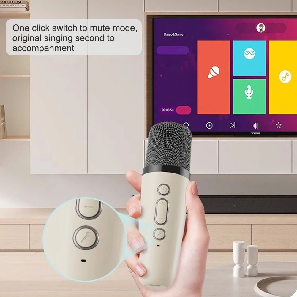 Professional Karaoke Bluetooth Speaker with Wireless Microphone