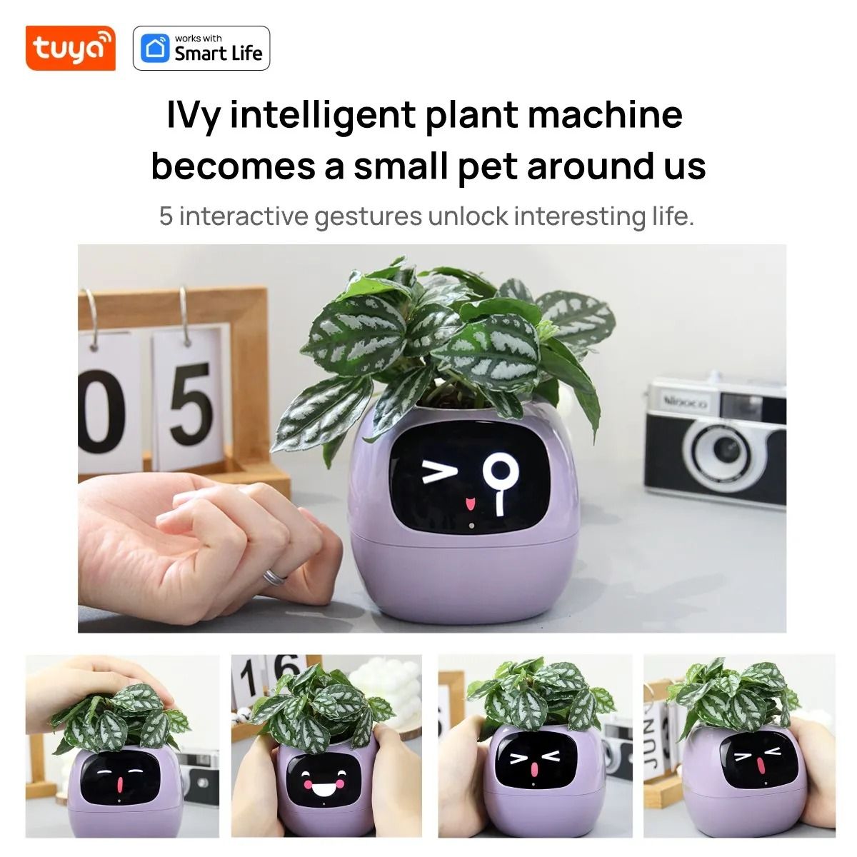 Smart Planter with AI Expressions and Sensors for Easy Plant Care