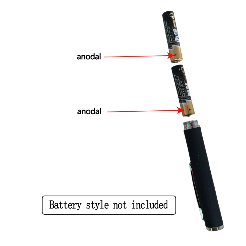 Interactive Pet Laser Pointer LED Flashlight Fun Cat Training Toy & Holiday Gift