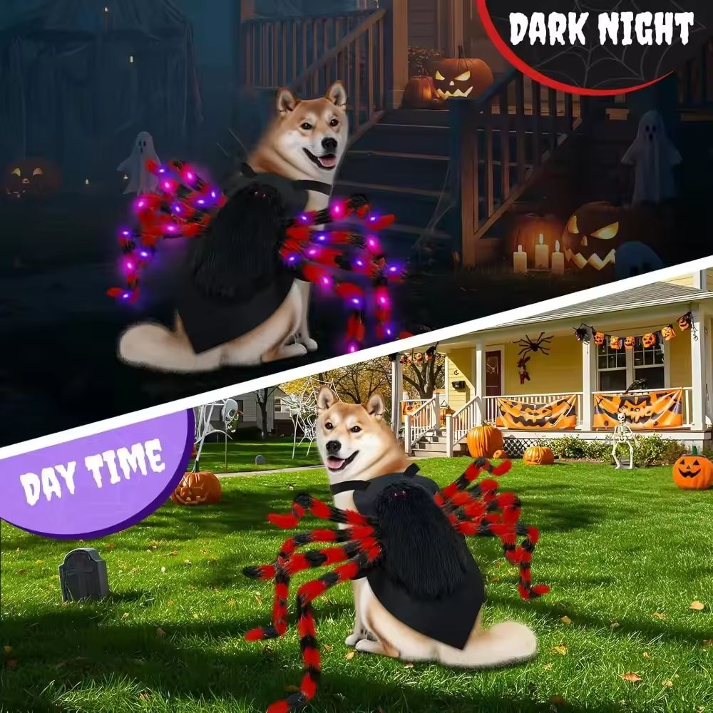 Light-Up dog spider costume with Purple LEDs for Large Dogs