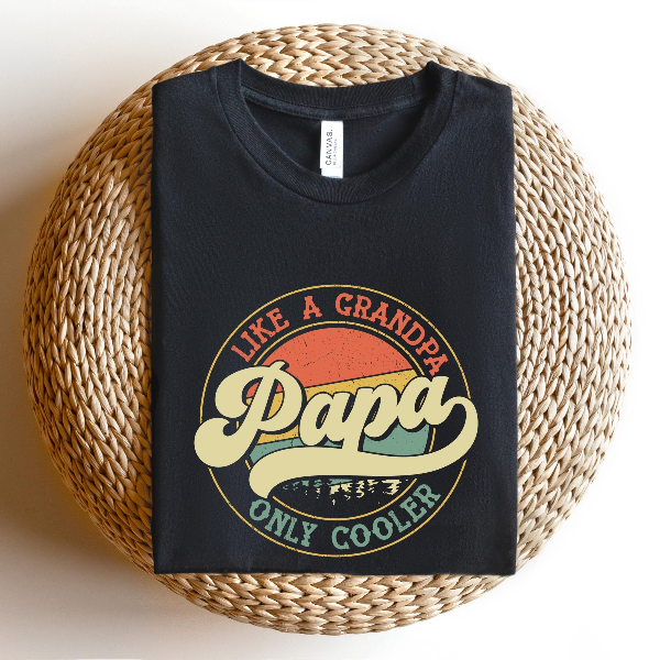 Funny Papa Shirt Best Dad Tee Fathers Day Gift