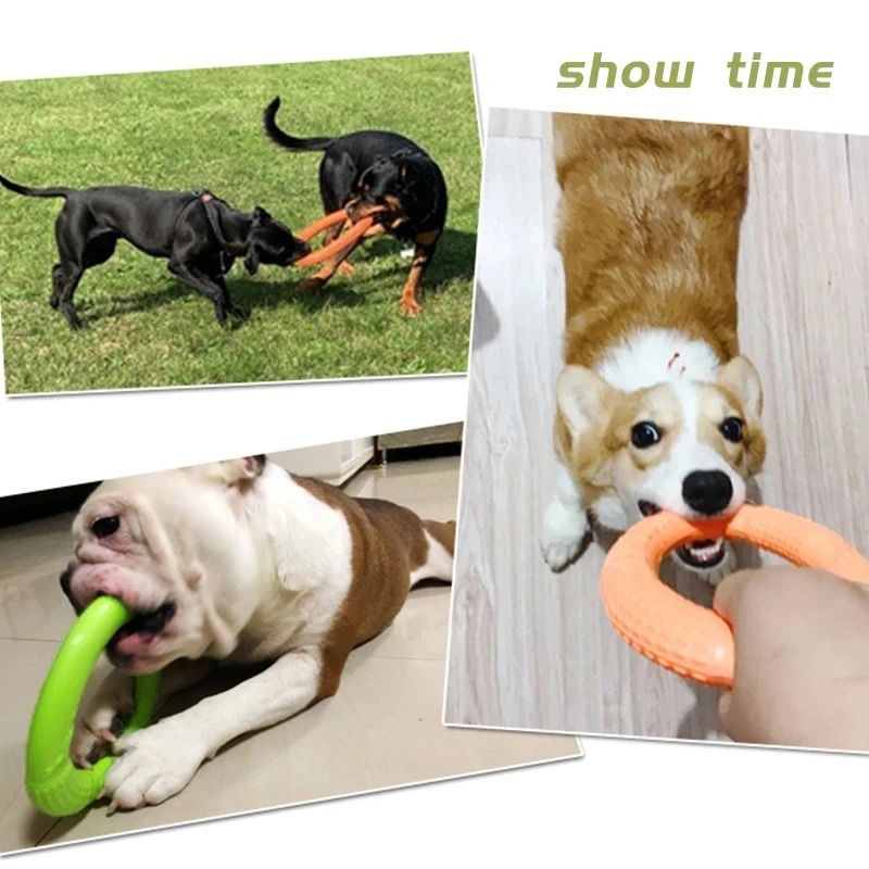 Floating Dog Training Ring Toy