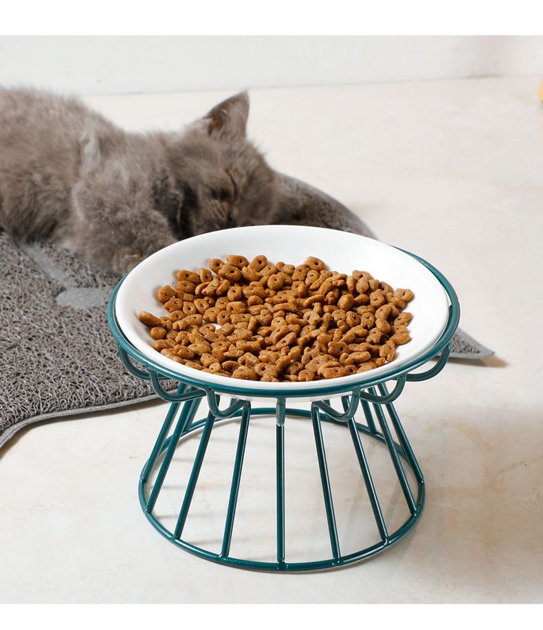 Elevated Ceramic Pet Food Bowl with Stand