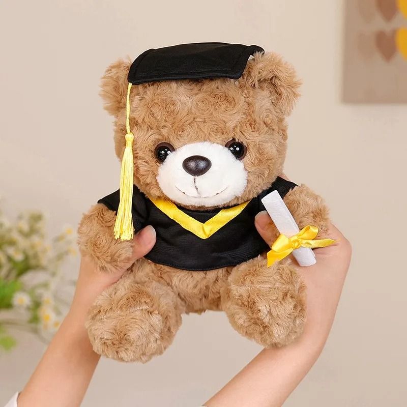 Dr Bear 25cm Graduation Plush Toy