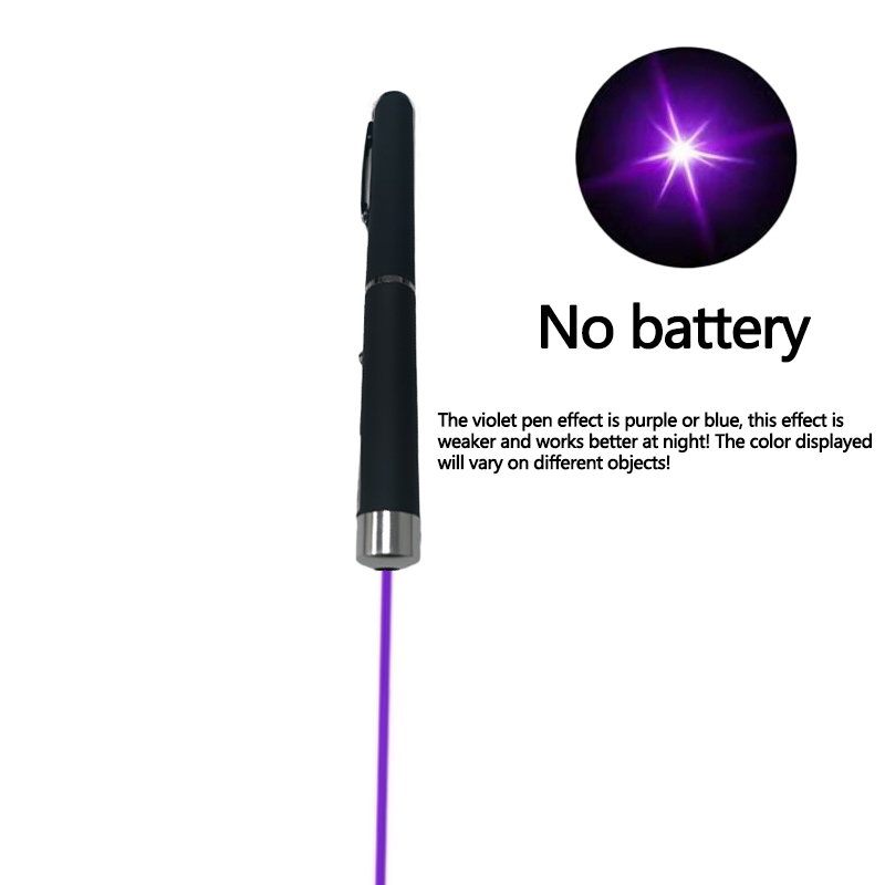 Interactive Pet Laser Pointer LED Flashlight Fun Cat Training Toy & Holiday Gift