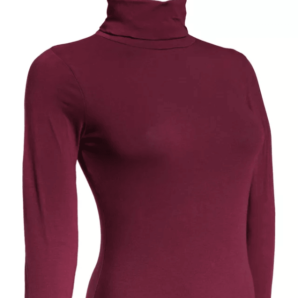 Classic Women Turtleneck Long Sleeve Shirt, Stretchy Basic Layering Top