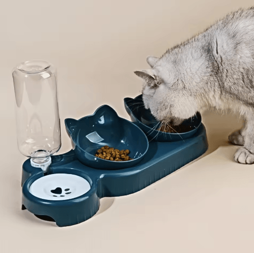 ErgoFeed 3 in 1 Pet Bowl – Tilted Cat Bowl Set with Gravity Water Feeder