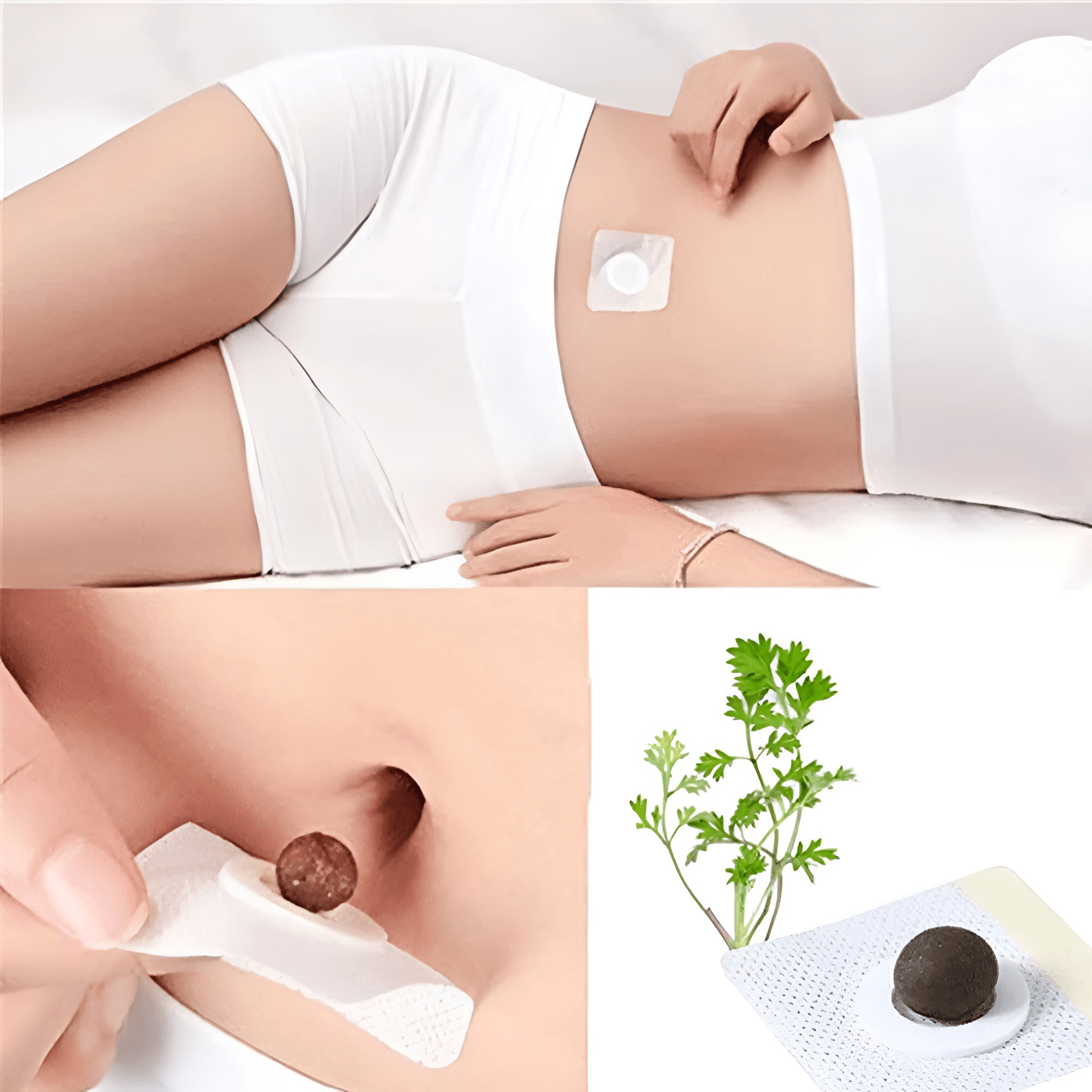 BellyLab Slimming Pallets