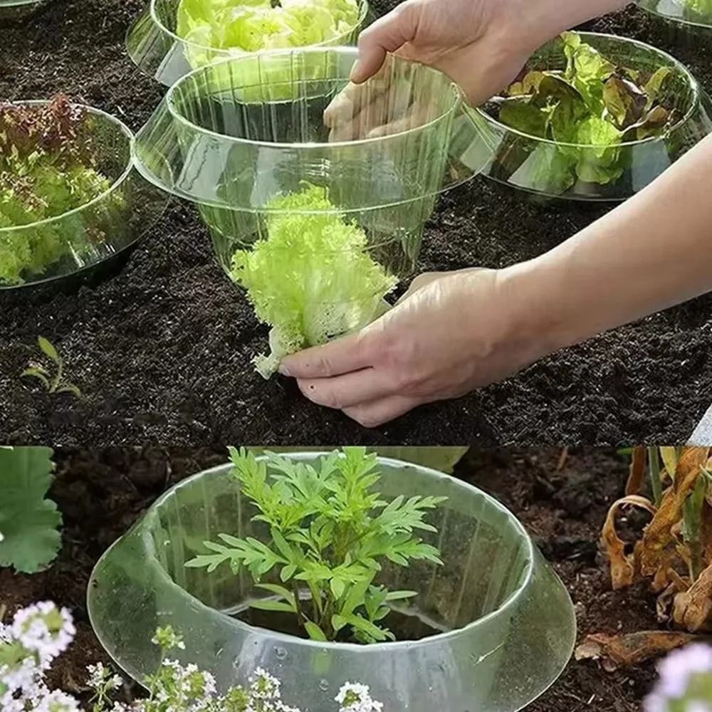 Green-Guard Seedling Protection Collars (5PC Set)
