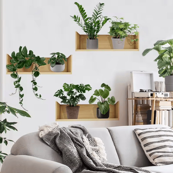 3-Piece Plant Wall Sticker Set – Minimalist Potted Plant Vinyl Decals for Modern Spaces