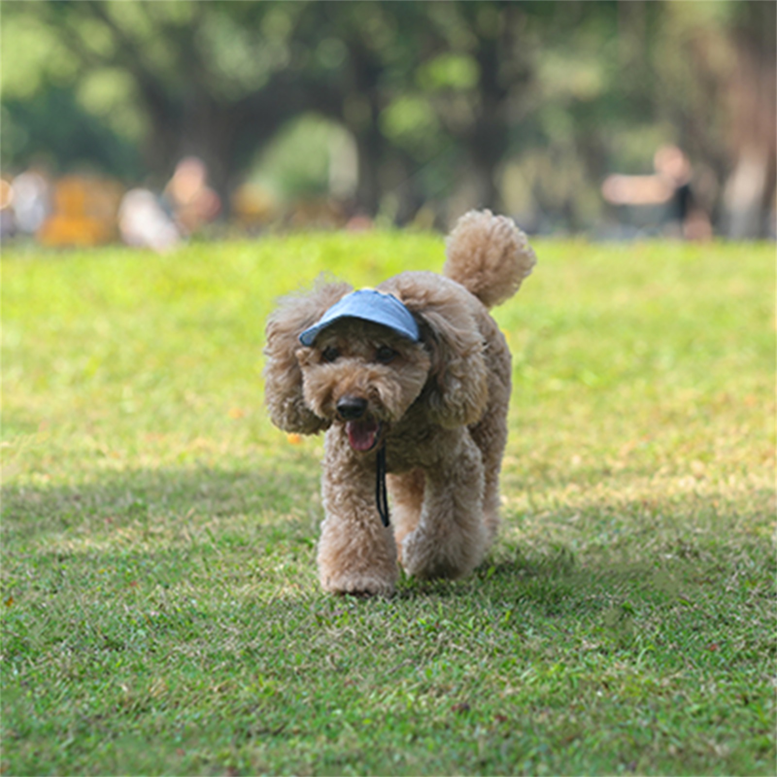 Adjustable Pet Dog Baseball Hat with Ear Holes, Cute Travel Sun Cap for Outdoor Sport