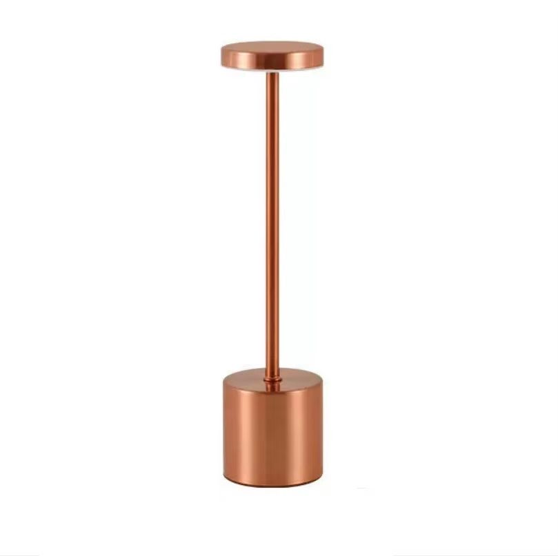 Table Lamp, USB Rechargeable Night Light, Stepless Dimming Touch Desk Lamp