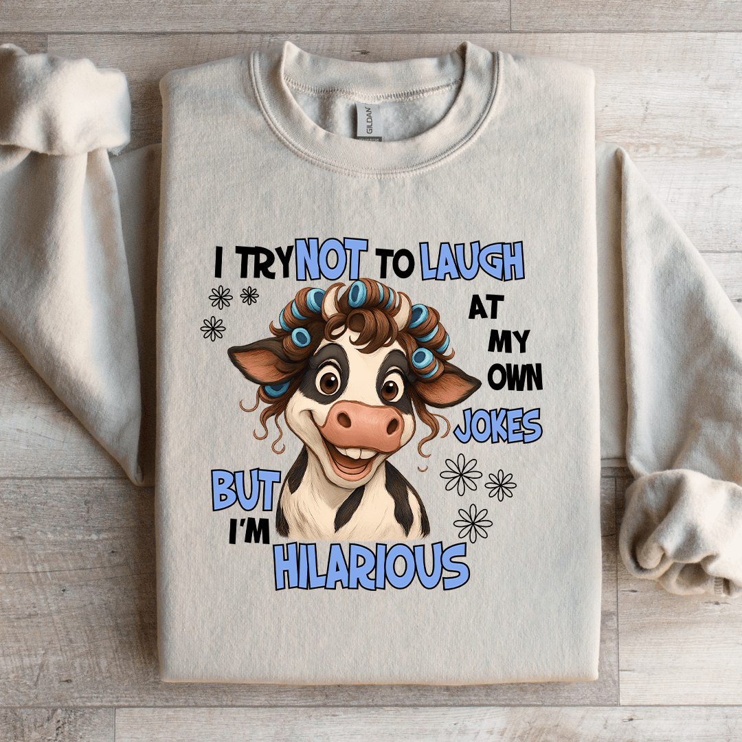 I Try Not To Laugh At My Own Jokes Sweatshirt