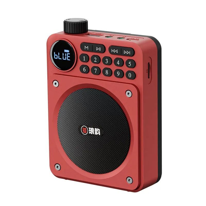 Mini Digital FM Radio with Bluetooth Speaker and USB Slot