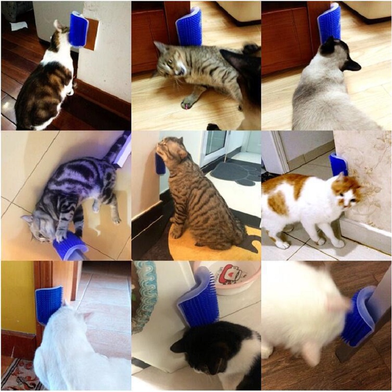 Self Grooming Cat Scratcher Brush Wall Mounted Cat Self Groomer Hair Remover Massager