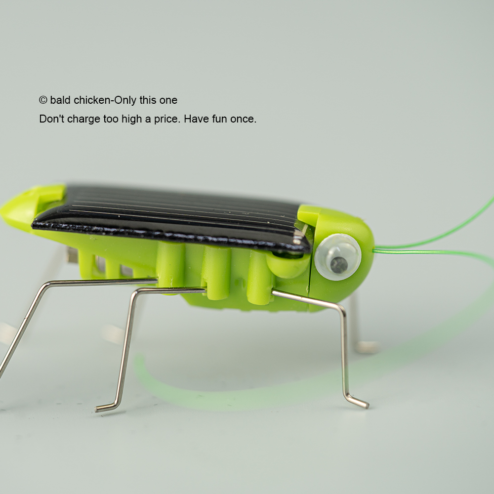 Solar Powered Grasshopper Toy STEM Science Kit for Kids Educational Moving Insect Toy