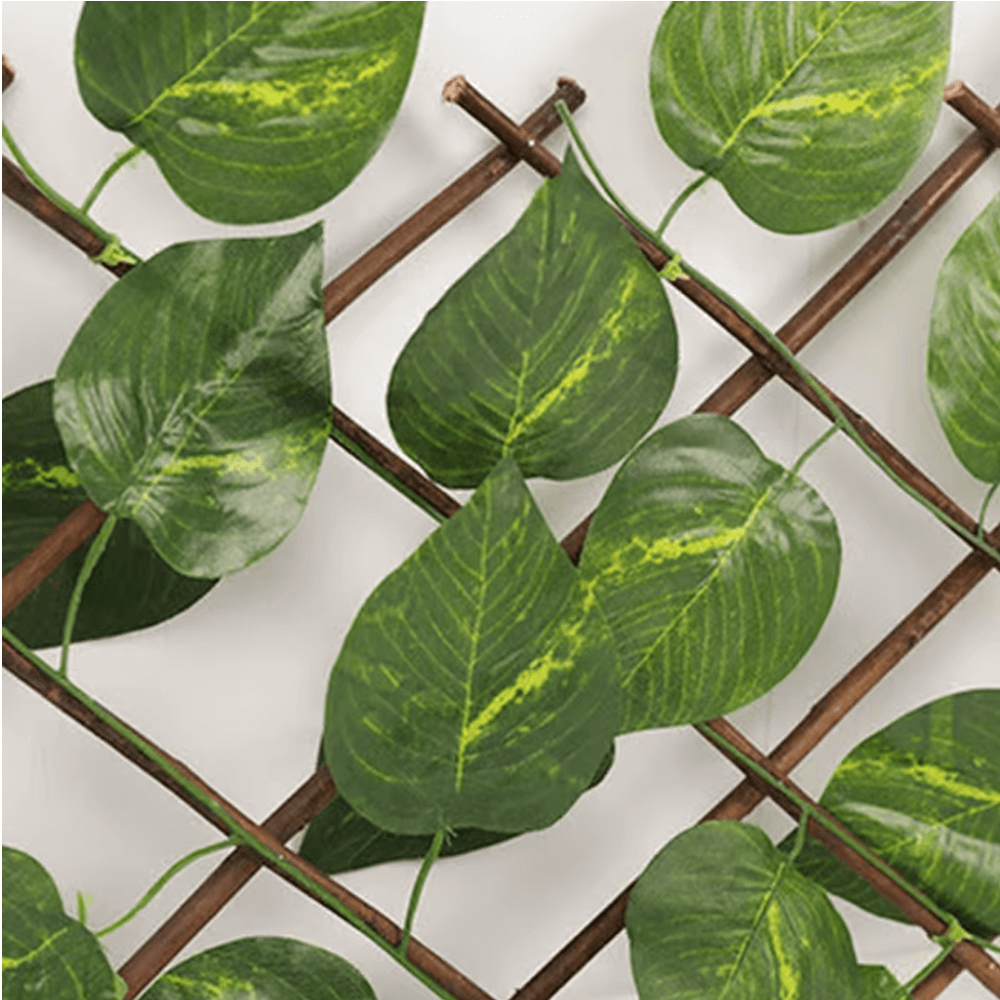 Retractable Fence With Leaves