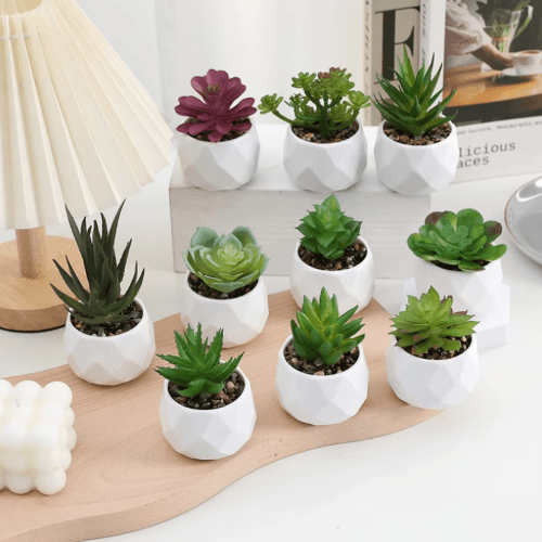 Artificial Succulent Bonsai Set – Mini Evergreen Cactus Plants for Desk & Home Decor