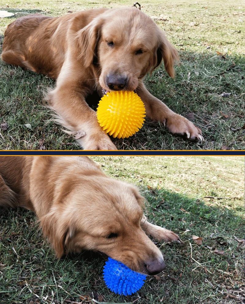 Squeaky Pet Chew Ball Toy