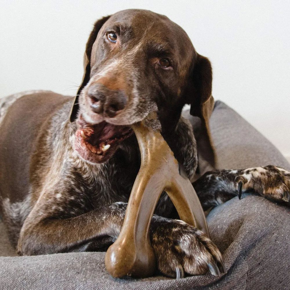 Durable Bacon-Flavored Nylon Dog Bone – Aggressive Chewer Dental Toy Made in USA
