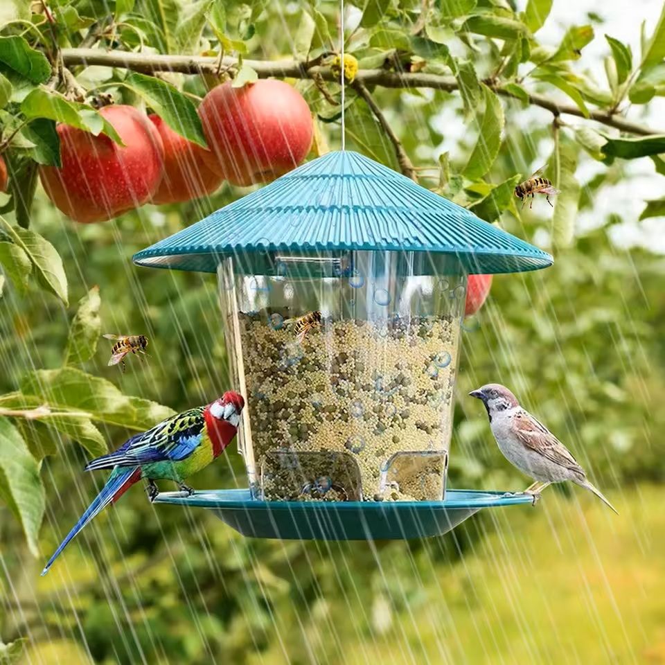 Automatic Hanging Bird Feeder with Multi-Hole Dispenser for Outdoor Use