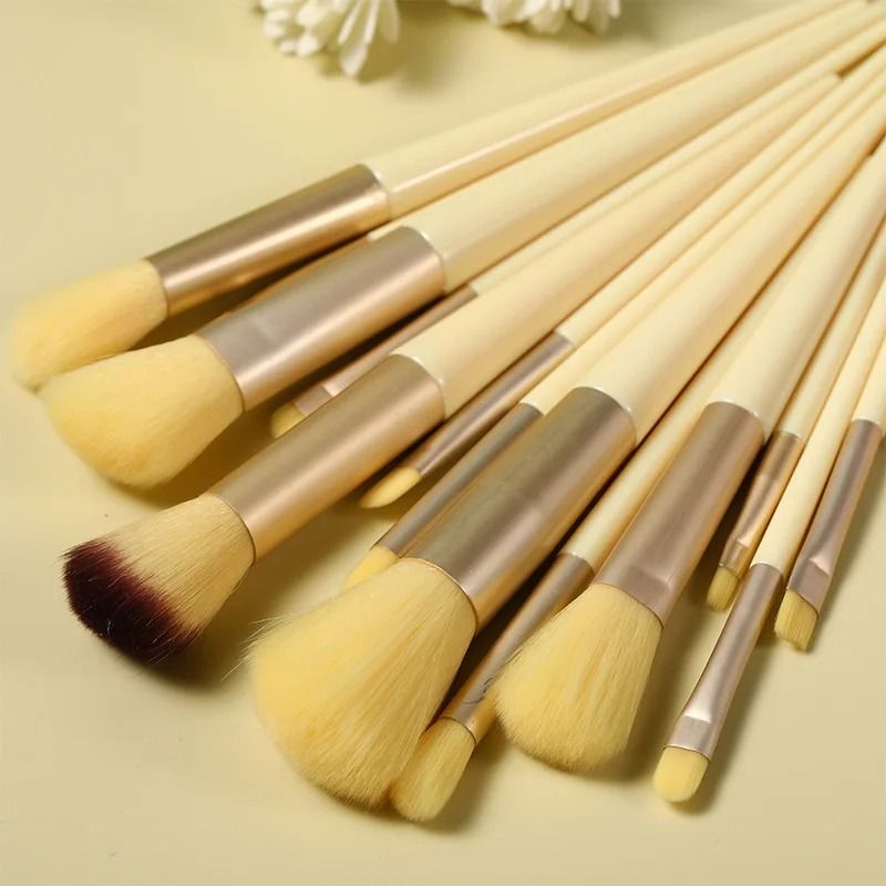 Professional 13 Piece Cosmetic Application System