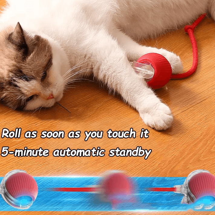 Interactive Rechargeable Rolling Ball Pet Toy – Smart Automatic Cat & Dog Imitation Mouse Toy