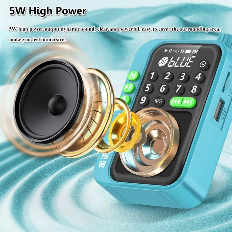 CompactTune 5W Portable FM Radio & Bluetooth Speaker – Mini MP3 Player with TF Card Support