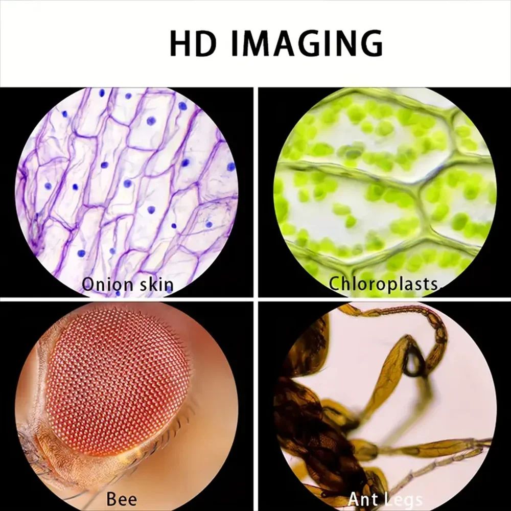 Handheld Pocket Microscope 60-120x Battery Powered Kids Science Microscope with LED Light