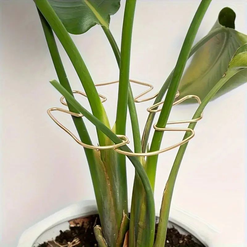 Large Hanging Plant Stand with Iron Hook