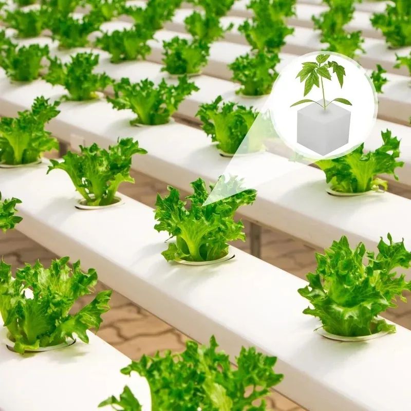 Hydroponic Plant Growing Sponge Set