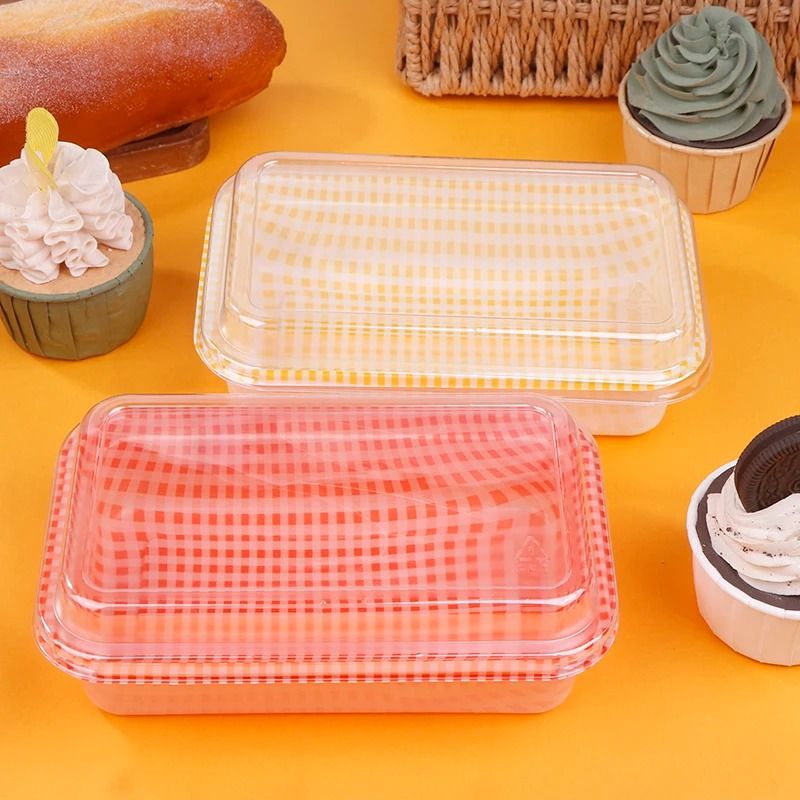 Disposable Rectangular Plastic Food Containers with Lids for Cake Picnic Bento 10 Piece Set