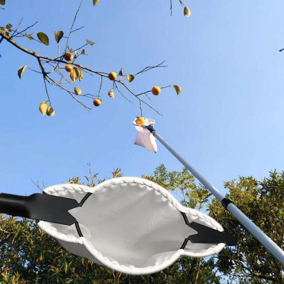Fruit Picker Tool with Blade and Catch Bag for Easy Tree Harvesting