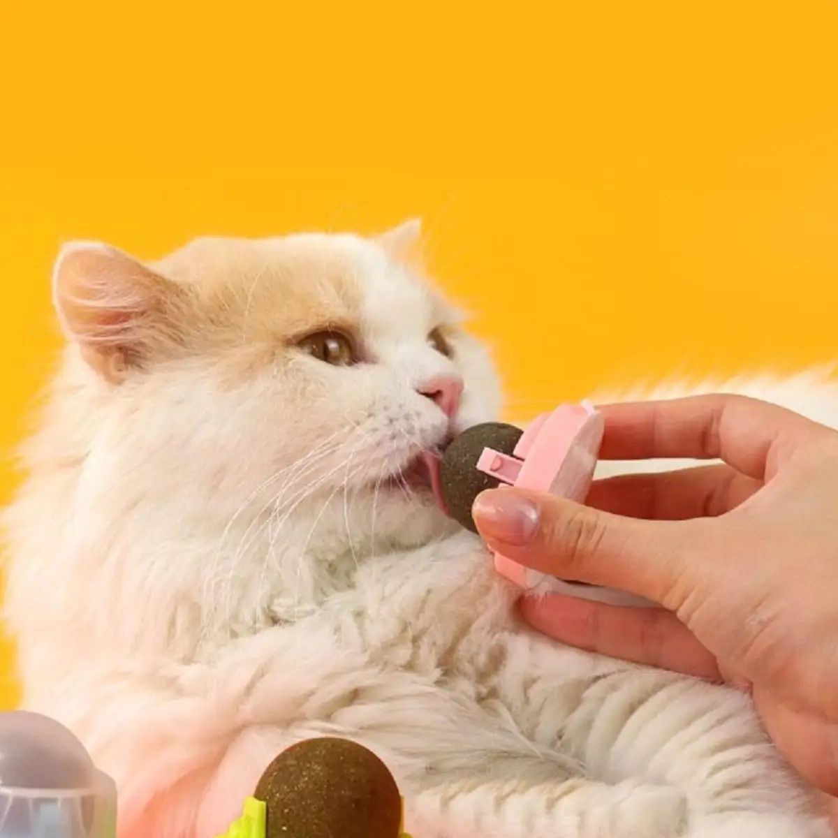 Rotatable Catnip Wall Ball Toy Teeth Cleaning Licking Snack