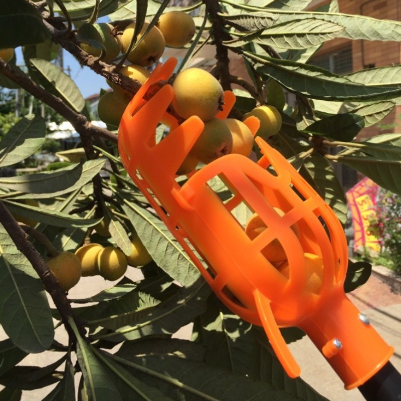 Multifunctional Garden Picking Tool, High Branch Harvest Device for Bayberry Loquat, Plum Jujube Apricot