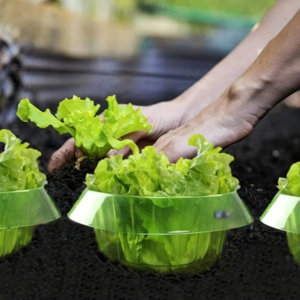 Green-Guard Seedling Protection Collars (5PC Set)