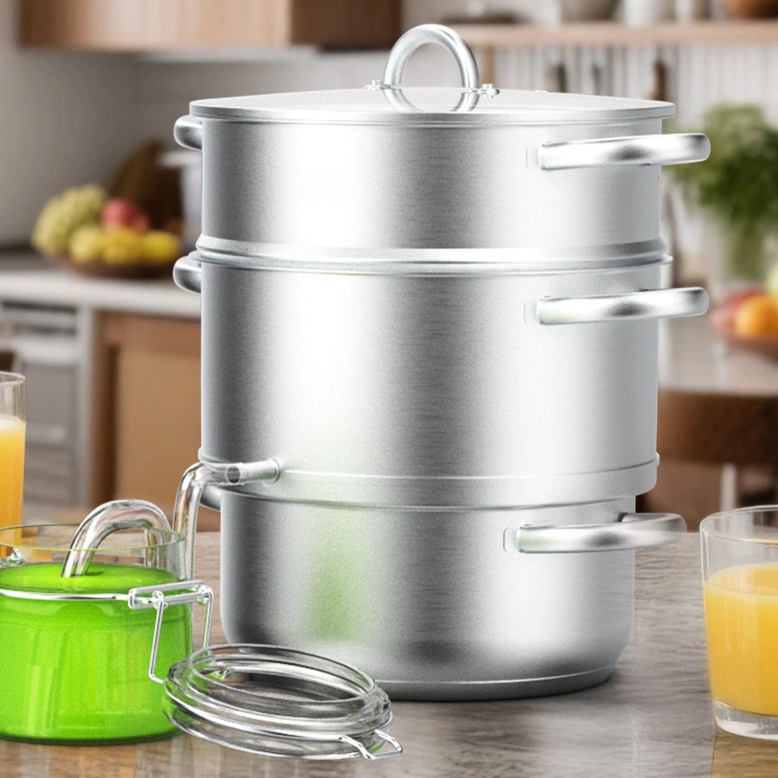 Stainless Steel Steam Juicer with Hose