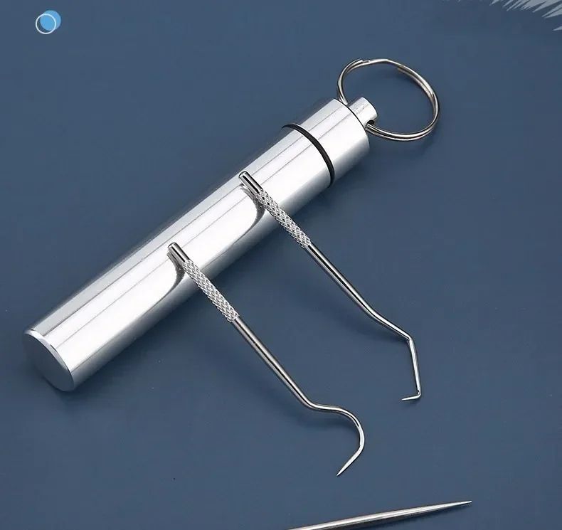 Stainless Steel Reusable Toothpick Set
